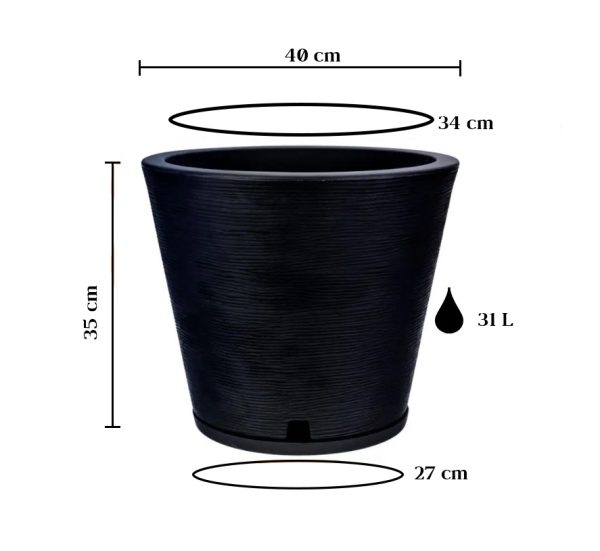 Loica medidas Loica medidas