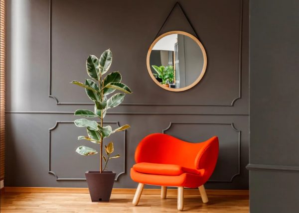 Tiuque Greda Tamaño Tiuque Greda Tamaño