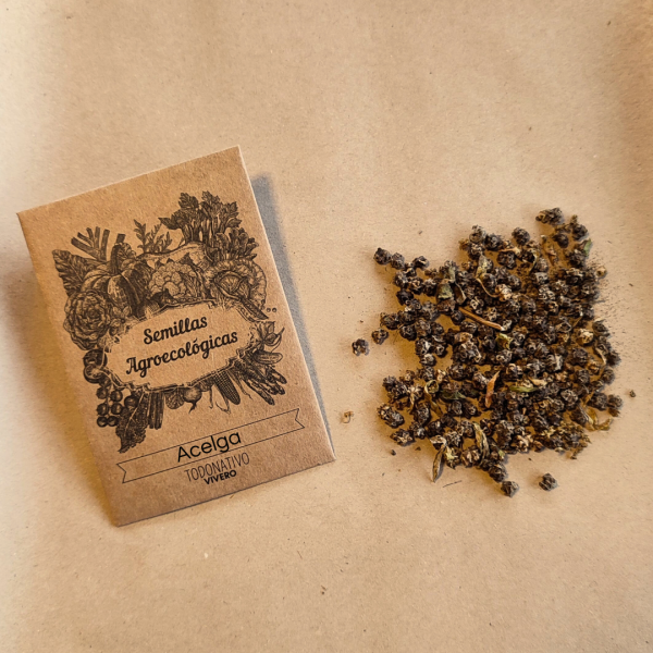 Semillas de Acelga Semillas de Acelga