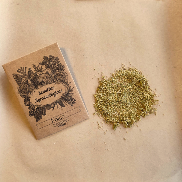 Semillas de Paico Semillas de Paico