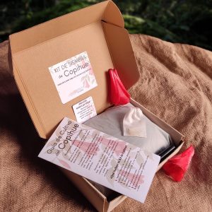 Kit de Siembra de Copihue