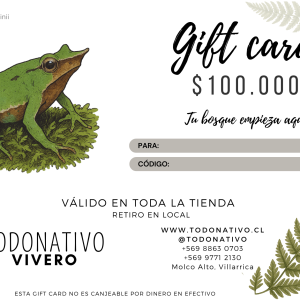 Giftcard Chile $100.000: Tarjeta regalo para plantas nativas, semillas y productos de
