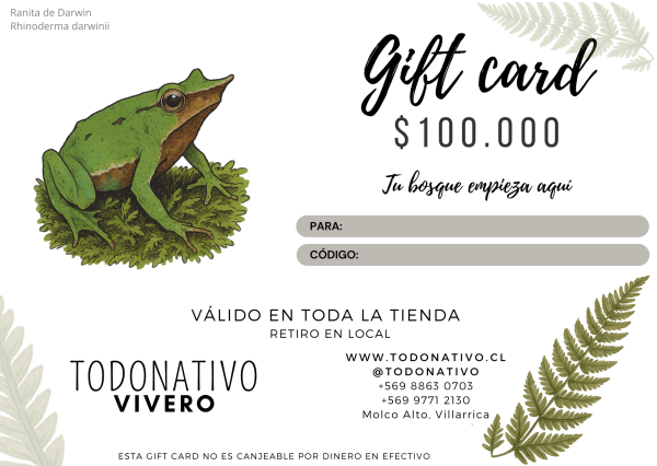 Giftcard Chile $100.000 - Tarjeta regalo plantas y semillas nativas Giftcard Chile $100.000: Tarjeta regalo para plantas nativas, semillas y productos de