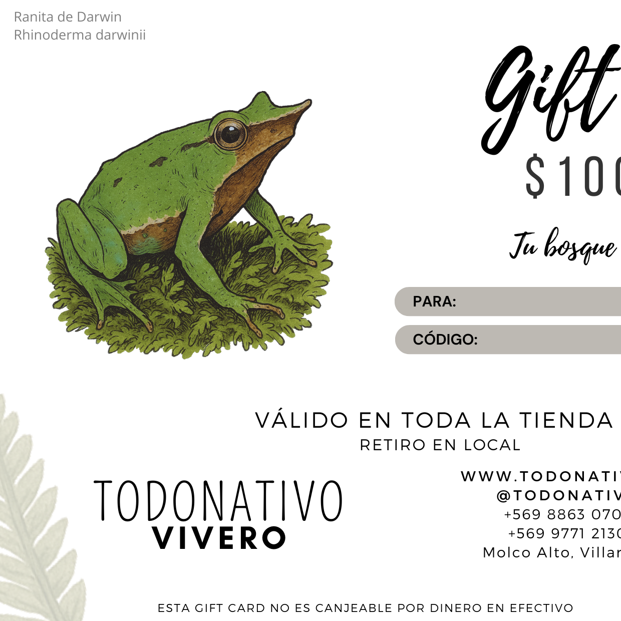 Giftcard Chile $100.000: Tarjeta regalo para plantas nativas, semillas y productos de