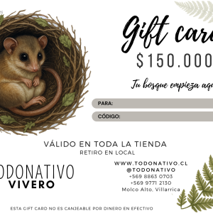 Giftcard Chile $150.000: Tarjeta regalo para plantas nativas, semillas y productos de jardinería en Todo Nativo