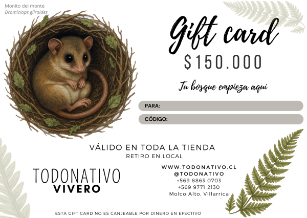 Giftcard Chile $150.000 - Tarjeta regalo plantas y semillas nativas Giftcard Chile $150.000: Tarjeta regalo para plantas nativas, semillas y productos de jardinería en Todo Nativo