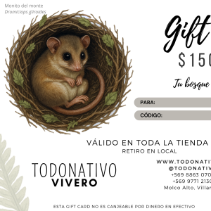 Giftcard Chile $150.000: Tarjeta regalo para plantas nativas, semillas y productos de jardinería en Todo Nativo
