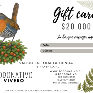 Giftcard Chile $20.000: Tarjeta regalo para plantas nativas, semillas y productos de