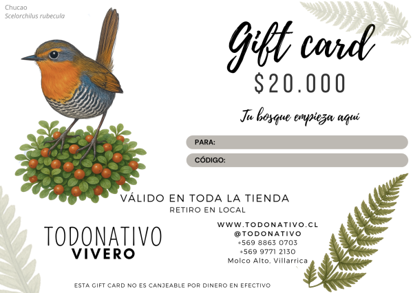 Giftcard Chile $20.000 - Tarjeta regalo plantas y semillas nativas Giftcard Chile $20.000: Tarjeta regalo para plantas nativas, semillas y productos de