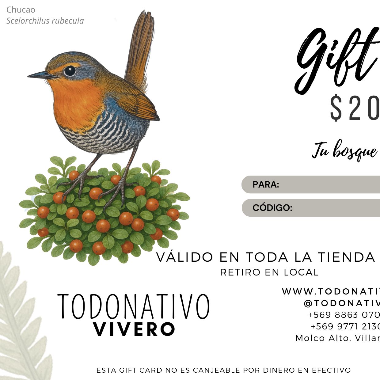 Giftcard Chile $20.000: Tarjeta regalo para plantas nativas, semillas y productos de