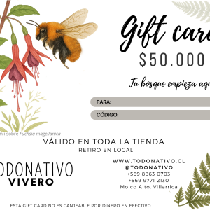Giftcard Chile $50.000: Tarjeta regalo para plantas nativas, semillas y productos de
