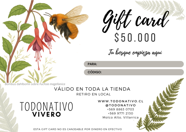Giftcard Chile $50.000 - Tarjeta regalo plantas y semillas nativas Giftcard Chile $50.000: Tarjeta regalo para plantas nativas, semillas y productos de