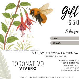 Giftcard Chile $50.000: Tarjeta regalo para plantas nativas, semillas y productos de