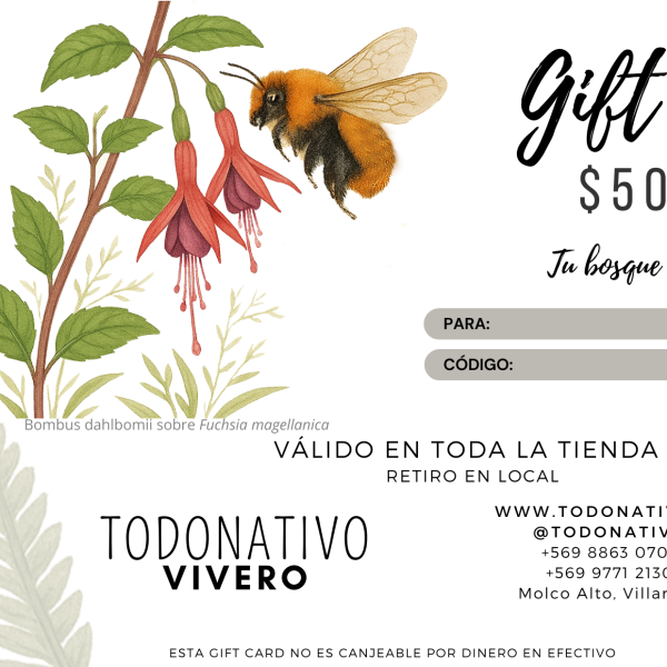 Giftcard Chile $50.000: Tarjeta regalo para plantas nativas, semillas y productos de